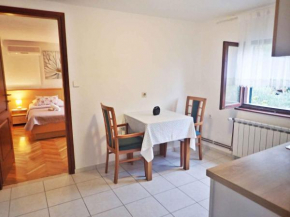 Apartment in Starigrad-Paklenica 43595